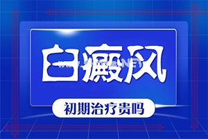 激光308费用(白点癫风是什么样的)