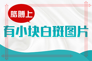 ƤаԲȦСװ͹𣿳Щ