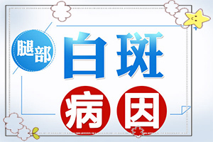 自血回输能治疗白癫疯吗